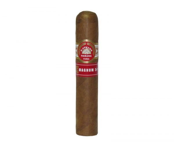 H. Upmann Magnum 54 Tubos